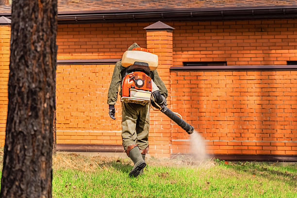 Trusted Emergency Pest Control service in Rockwall, TX - Nex Pest Control